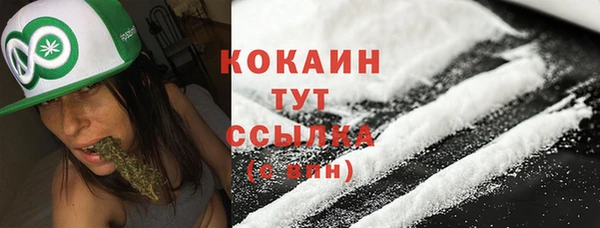 прущие грибы Касимов
