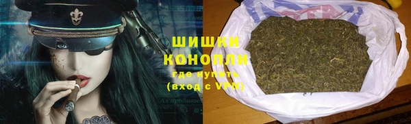 прущие грибы Касимов