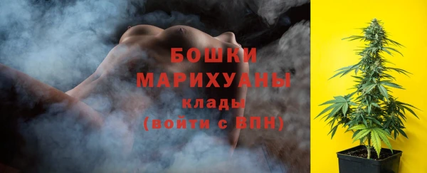 молекула духа Чегем