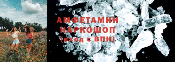 прущие грибы Касимов