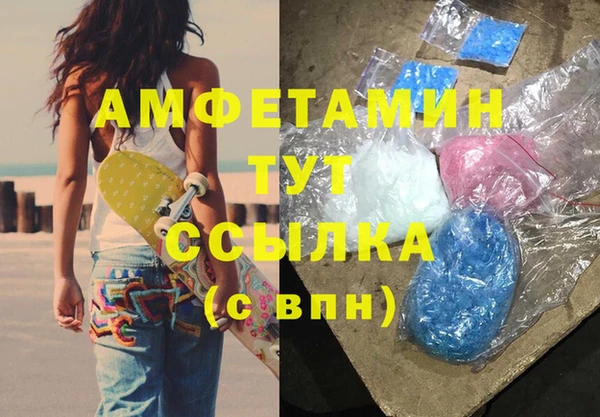 прущие грибы Касимов