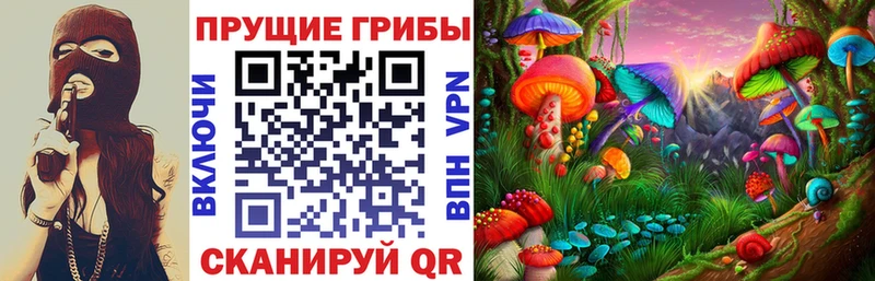 Галлюциногенные грибы мицелий  Мамадыш 